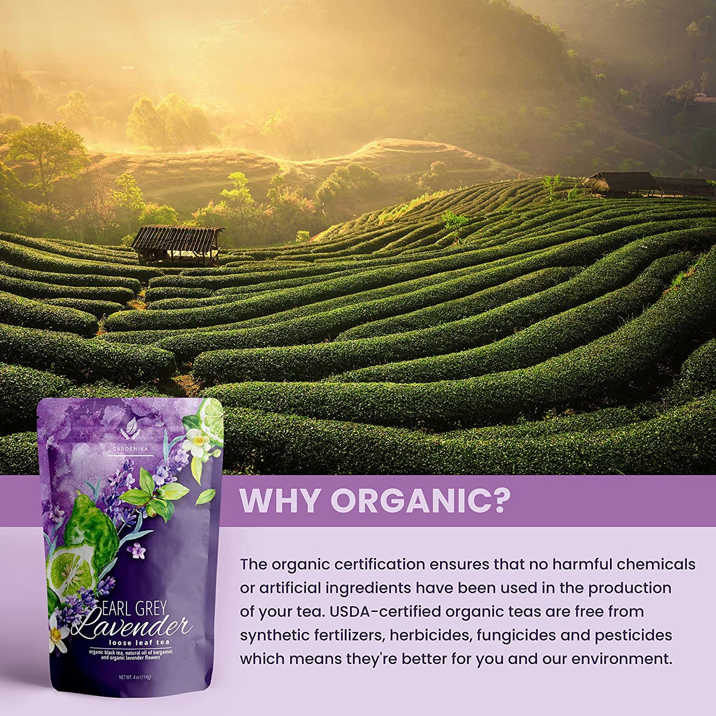 Earl Grey Lavender Loose Tea, Premium Black Tea with Lavender Flowers & Bergamot - Caffeinated - 55+ Cups - USDA Organic & Kosher - 4 oz (113g)