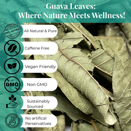 Akshit 2.5 oz Dried Guava Leaves ( Hojas De Guayaba ) | Loose Leaf Herbal Tea, 100% Natural, Non-GMO, Vegan, Gluten-Free | Support Digestive Health