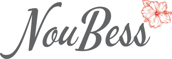NouBess Logo