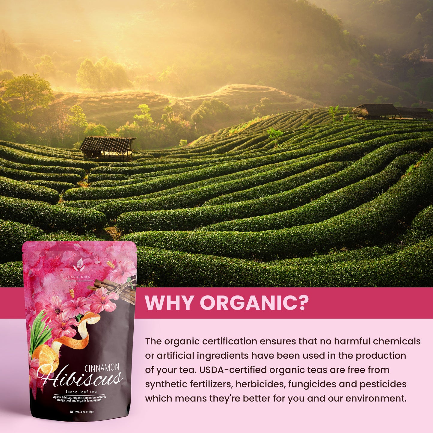 Cinnamon Hibiscus Loose Tea, Heart Health & Antioxidant Rich - Caffeine Free - 55+ Cups - USDA Organic & Kosher - 4 oz (113g)