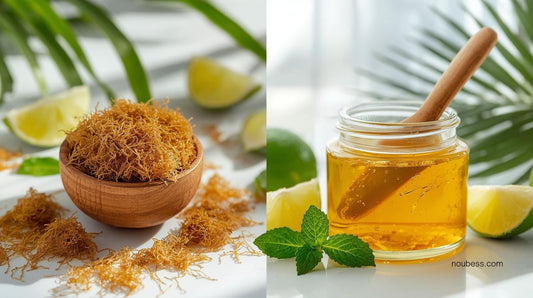 What is Sea Moss Gel and Why is Everyone Talking About It?
