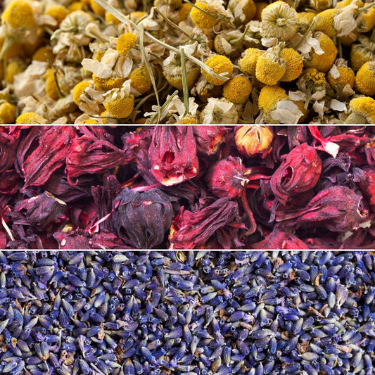 Introducing Our Starter New Tea Collection (Lavender, Chamomile, and Hibiscus) - NouBess | Online Shop | Gemma's Living LLC