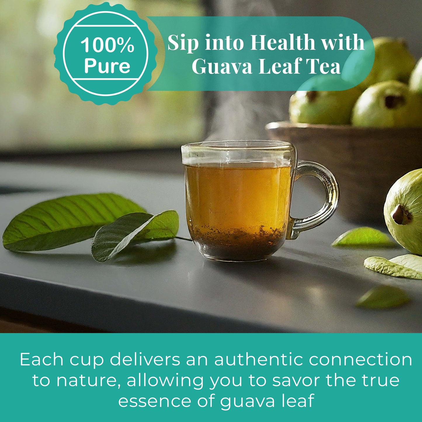 Akshit 2.5 oz Dried Guava Leaves ( Hojas De Guayaba ) | Loose Leaf Herbal Tea, 100% Natural, Non-GMO, Vegan, Gluten-Free | Support Digestive Health