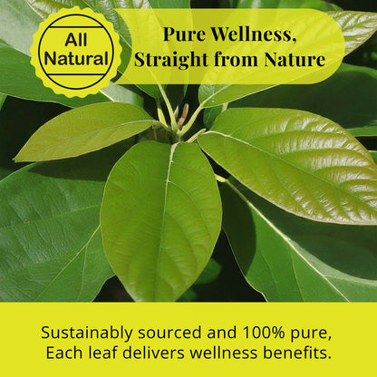 Dried Avocado Leaves, (Hojas De Aguacate) - 2.6oz (75gm). Makes 28 cups