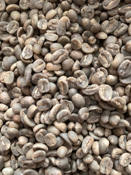 MARSELLESA Premium Specialty Grade -2025 CROPS-