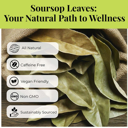 200+ Premium Dried Soursop Graviola Leaves Tea – 2.6 oz , 100% Natural Soursop Tea, Caffeine-Free Herbal Tea (Hoja Guanabana)