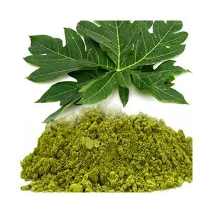 Akshit  Papaya Leaf Powder, Dried Papaya Leaf, 2.6oz, Papaya Leaf Tea, Non GMO, Caffeine free, Sugar free, Gluten free, Vegan friendly | Pack of 1