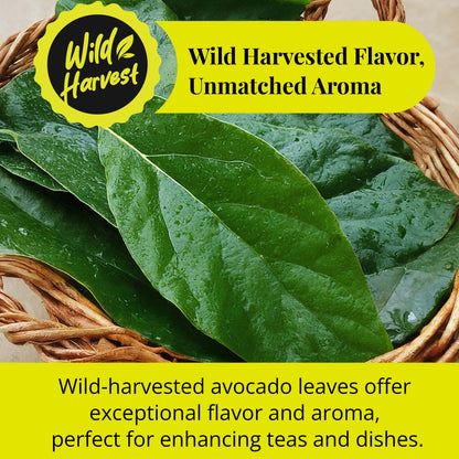 Dried Avocado Leaves, (Hojas De Aguacate) - 2.6oz (75gm). Makes 28 cups