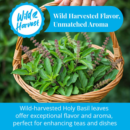 Akshit Dried Tulsi / Holy Basil Leaves | Tulsi Tea | Holy Basil Tea-2.6oz